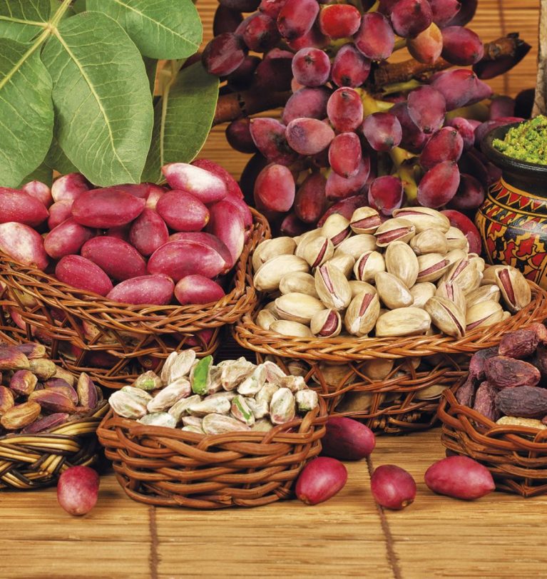 ANTEP FISTIĞINA GENEL BAKIŞ